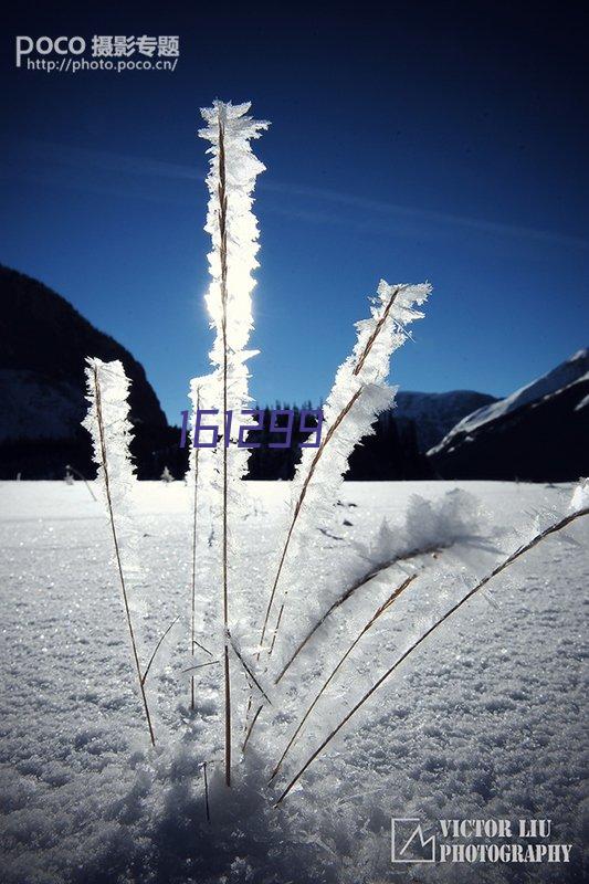 桥梁预压水袋