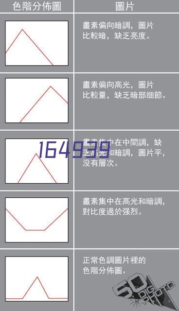 41-教育娱乐