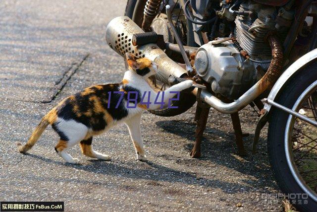 急速仿真跑车