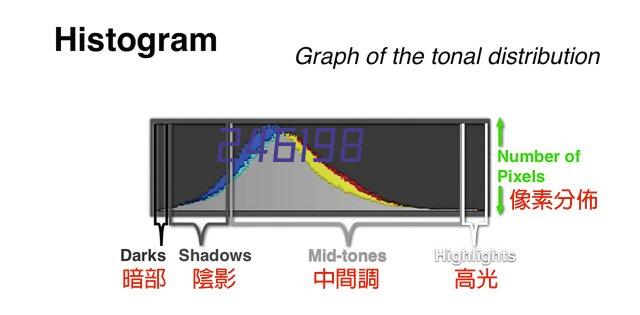 健身气功二三级裁判员讲师培训进行时