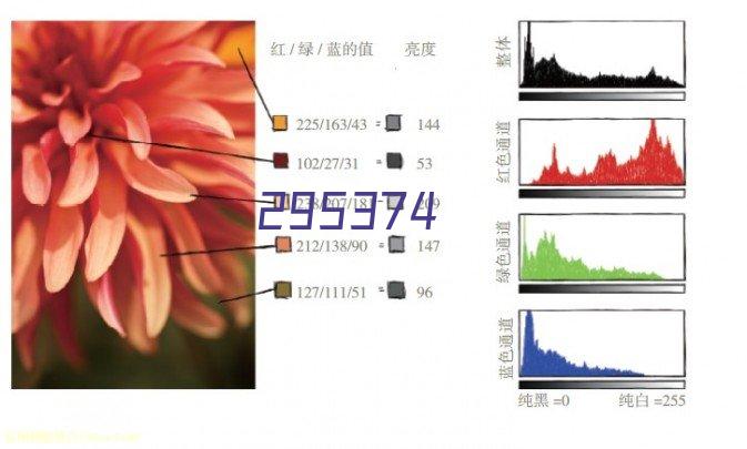 平面广告印刷实战课