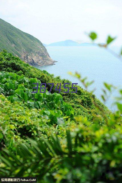 陈家财
营山县首届十大名中医