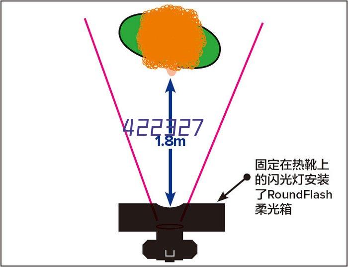 人体姿态测量领域