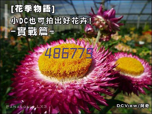 网站首页标题描述100个字中应该包含这些内容