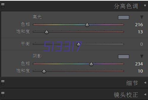 速派奇电动车