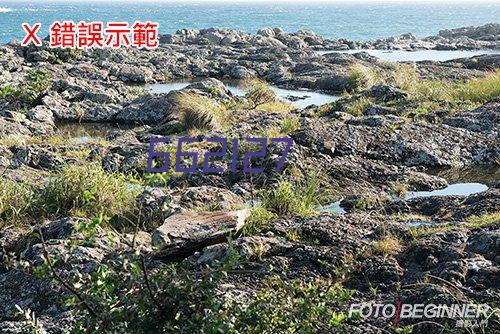 文化和旅游部办公厅关于开展2023年度 乡村文化和旅游带头人支持项目推荐工作的通知