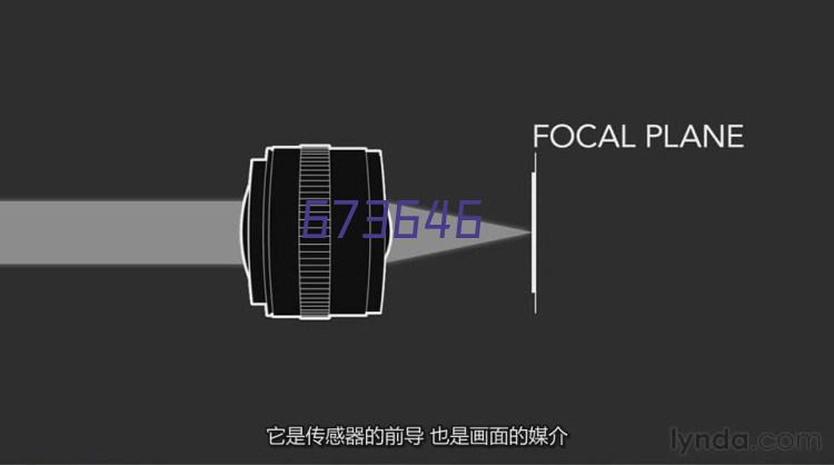 沙棘籽油软胶囊