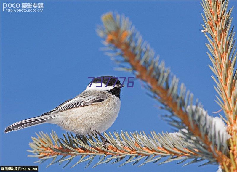 上海虹桥商务区写字楼租赁价格信息