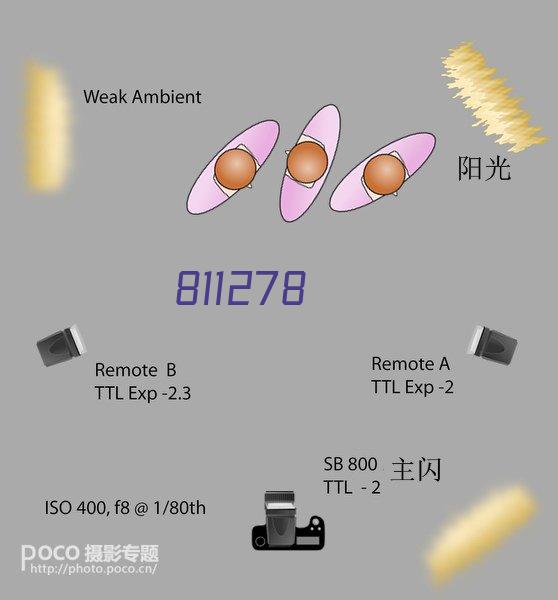 诚信自律宣言单位 | 安徽飞歌实业集团有限公司